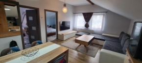 Comfort Home Studio Petroşani